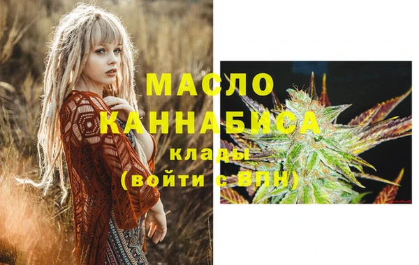 крисы Каменка