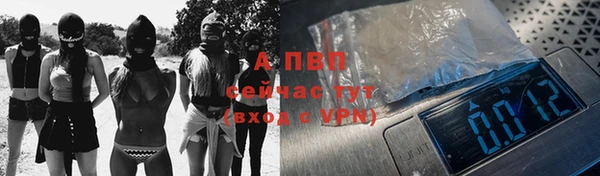 крисы Каменка