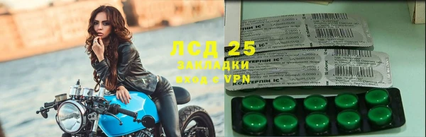 ГАЛЛЮЦИНОГЕННЫЕ ГРИБЫ Каменногорск