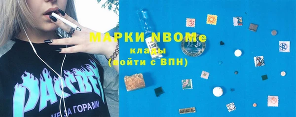 индика Каменск-Шахтинский