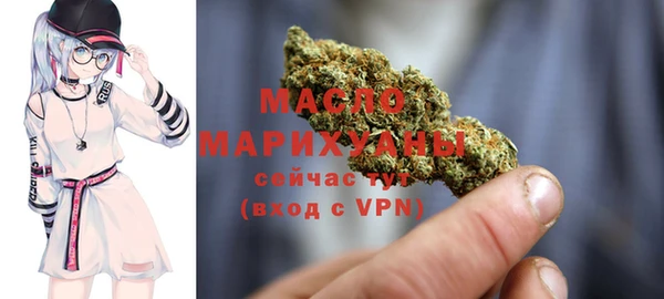 крисы Каменка