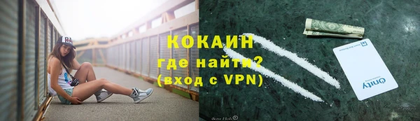 индика Каменск-Шахтинский