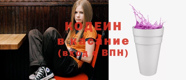 крисы Каменка