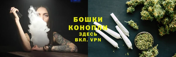 индика Каменск-Шахтинский