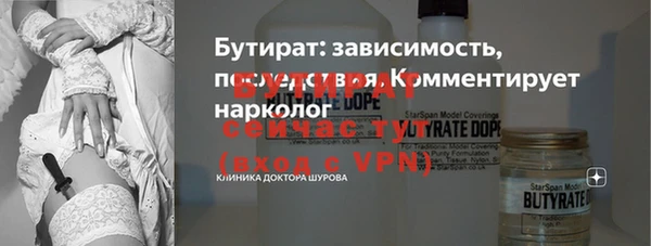 крисы Каменка