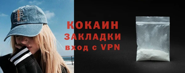 индика Каменск-Шахтинский