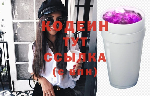 крисы Каменка