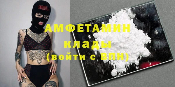 индика Каменск-Шахтинский