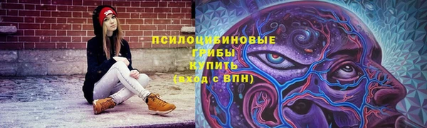 ГАЛЛЮЦИНОГЕННЫЕ ГРИБЫ Каменногорск
