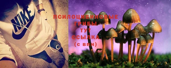 ГАЛЛЮЦИНОГЕННЫЕ ГРИБЫ Каменногорск