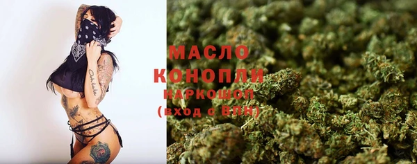 крисы Каменка