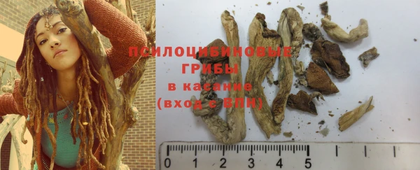 ГАЛЛЮЦИНОГЕННЫЕ ГРИБЫ Каменногорск