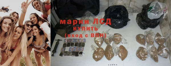 крисы Каменка
