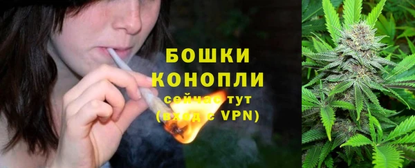 крисы Каменка