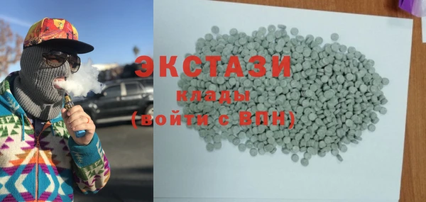 крисы Каменка