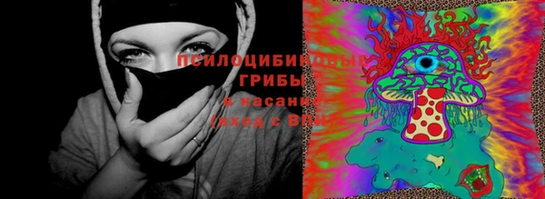 индика Каменск-Шахтинский
